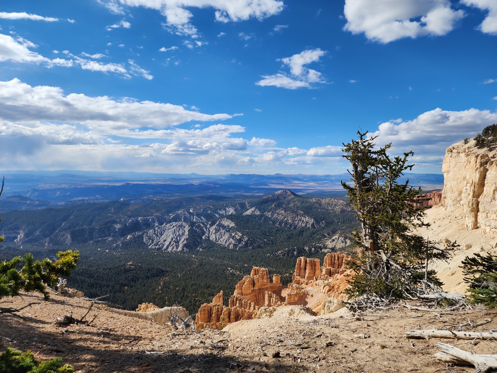 powell point1.jpg