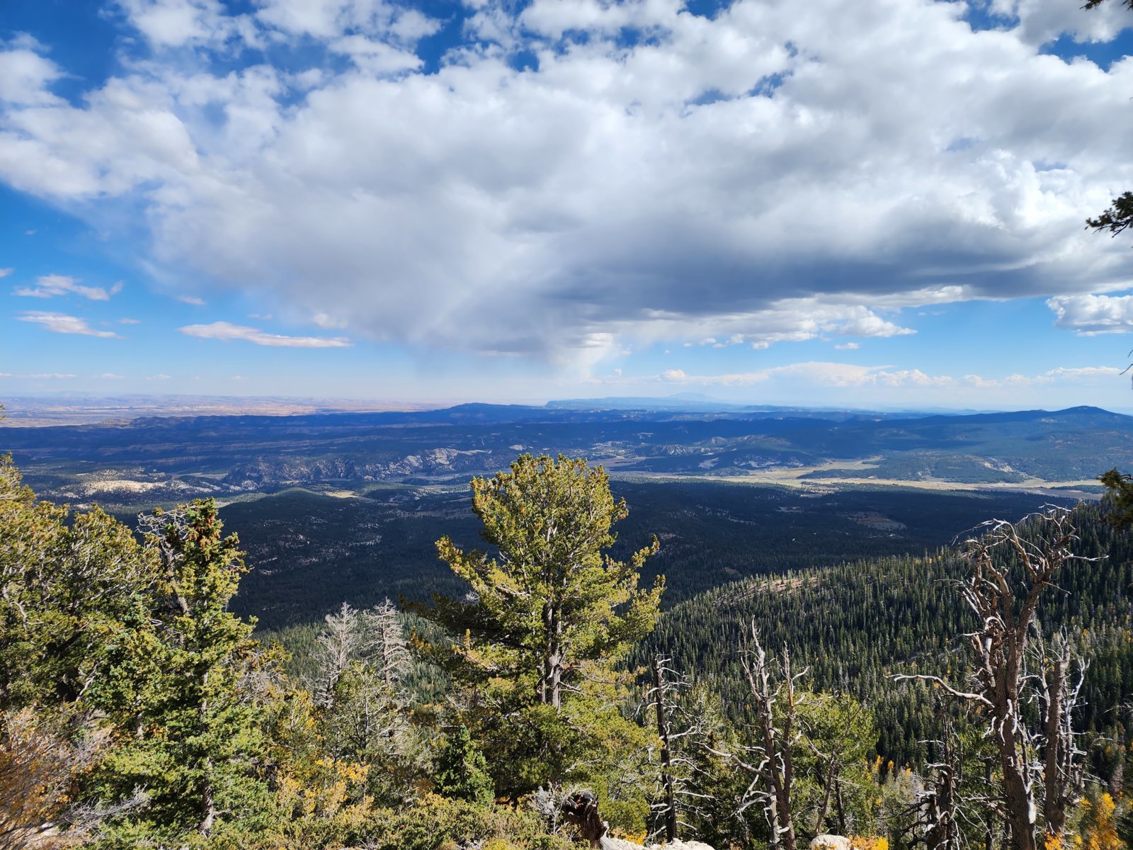 powell point2.jpg