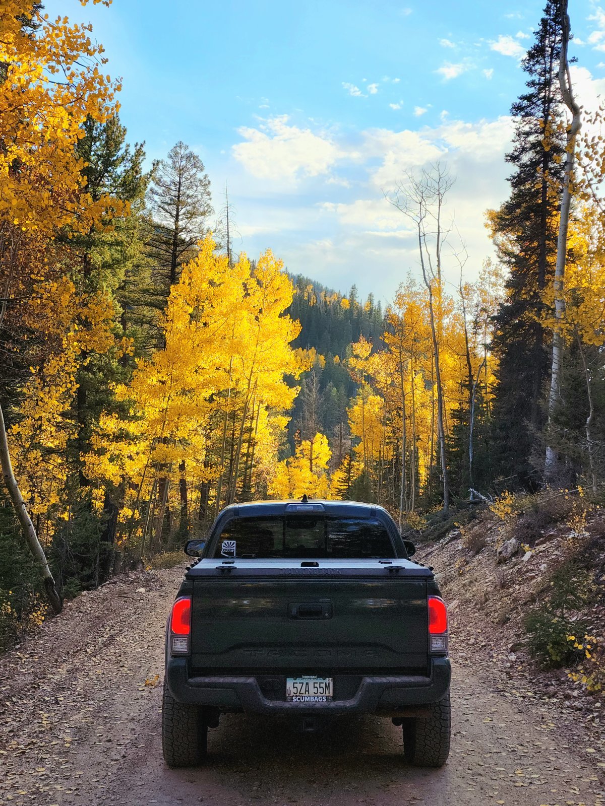 powell road2.jpg