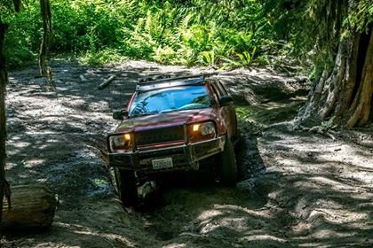 Powerlines (8).jpg