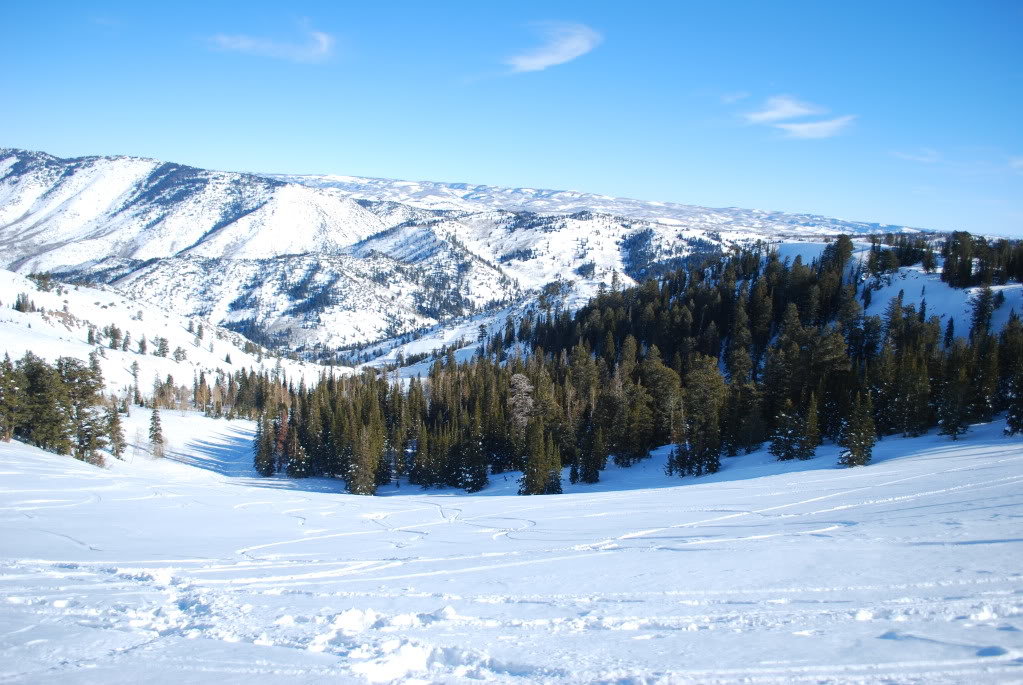 powmow109_f07d44550e2182abb881f8c5f2d50d6ddeb7009a.jpg