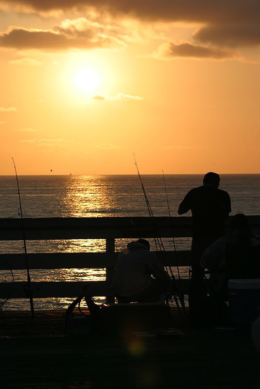pplonthepier_889695aa46f306bcc839253310933f72c319b3cd.jpg