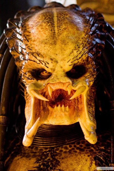 Predator-predators-2010-movie-14721719-1000-1499.jpg