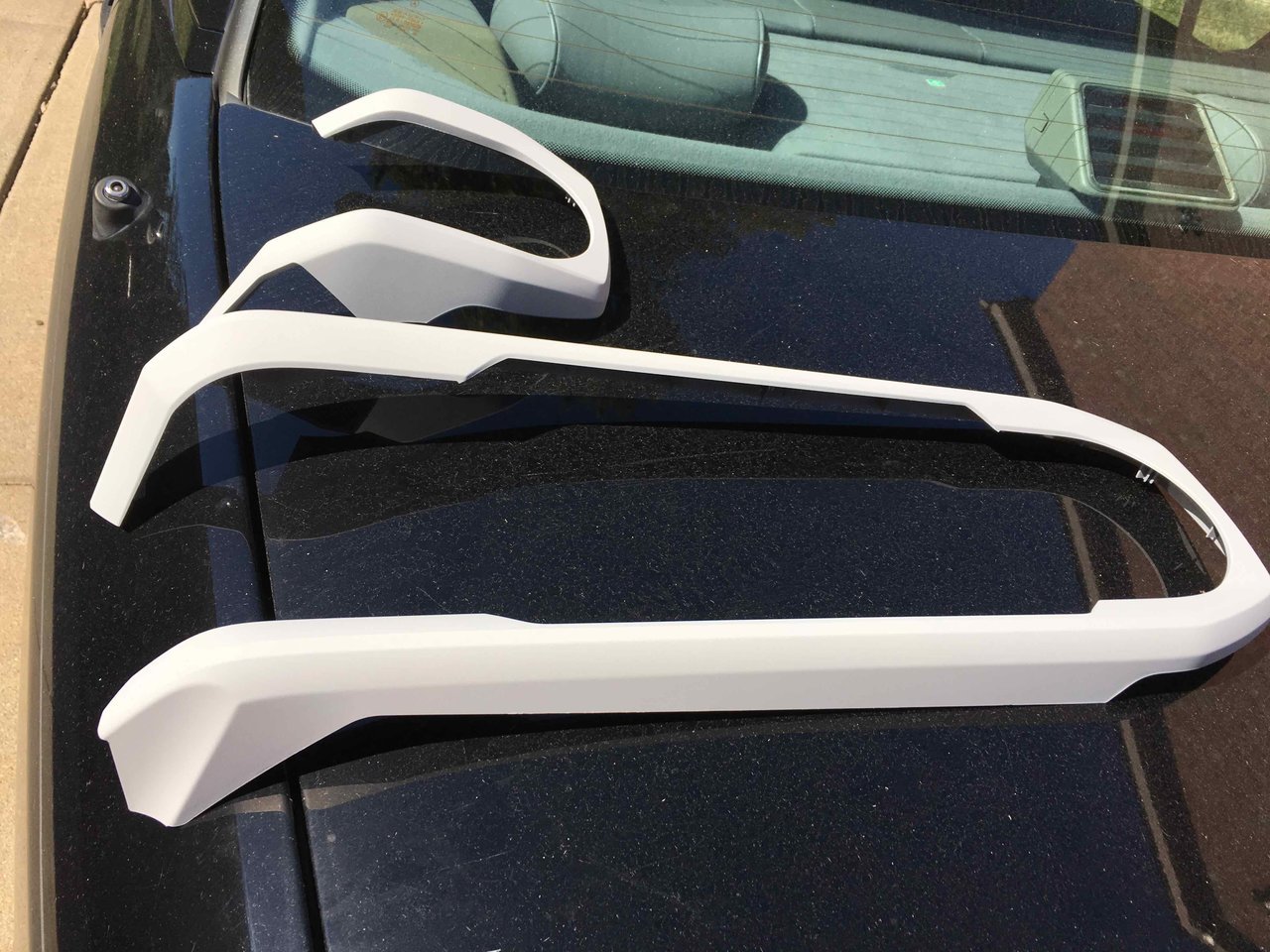 primed w plastic promoter.jpg