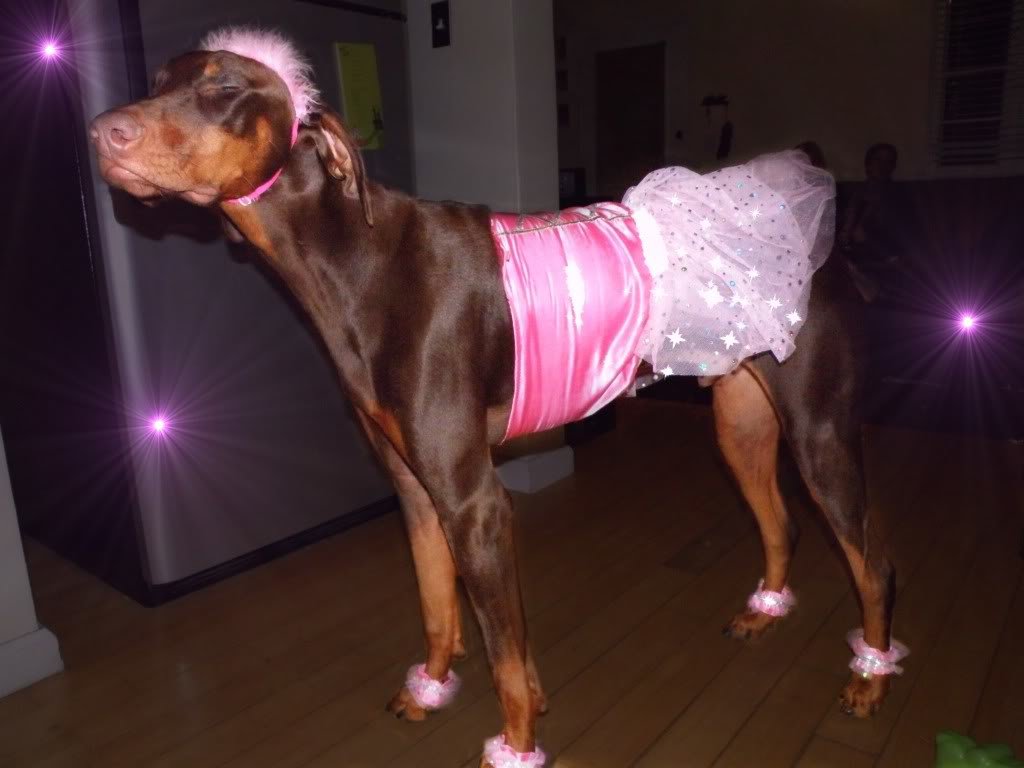 princessgus3EDIT_a20b04d694f13b826cfbb5b7b399579050319854.jpg