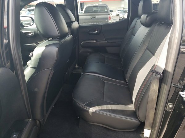 pro interior.jpg