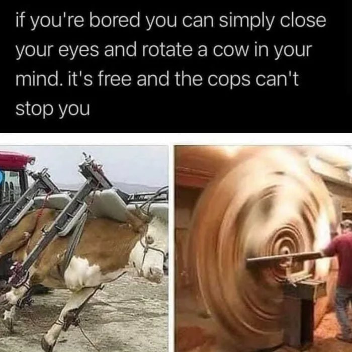Pro-tip.jpg