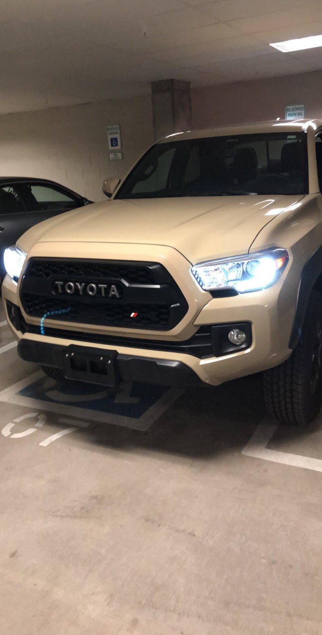 PROGrille.jpg