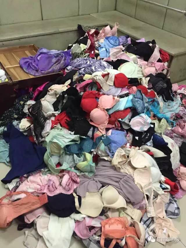 prolific_panty_thief.jpg