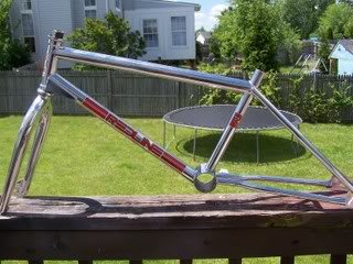 proline2003_e1ec6e1eeac8bf8d0ceff943d92b3bd06b77ac55.jpg