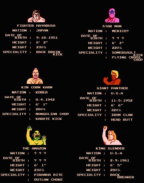 prowrestling3_cfa1a8dd9c34ca6465c162b2b5c4eb5c244825e9.jpg