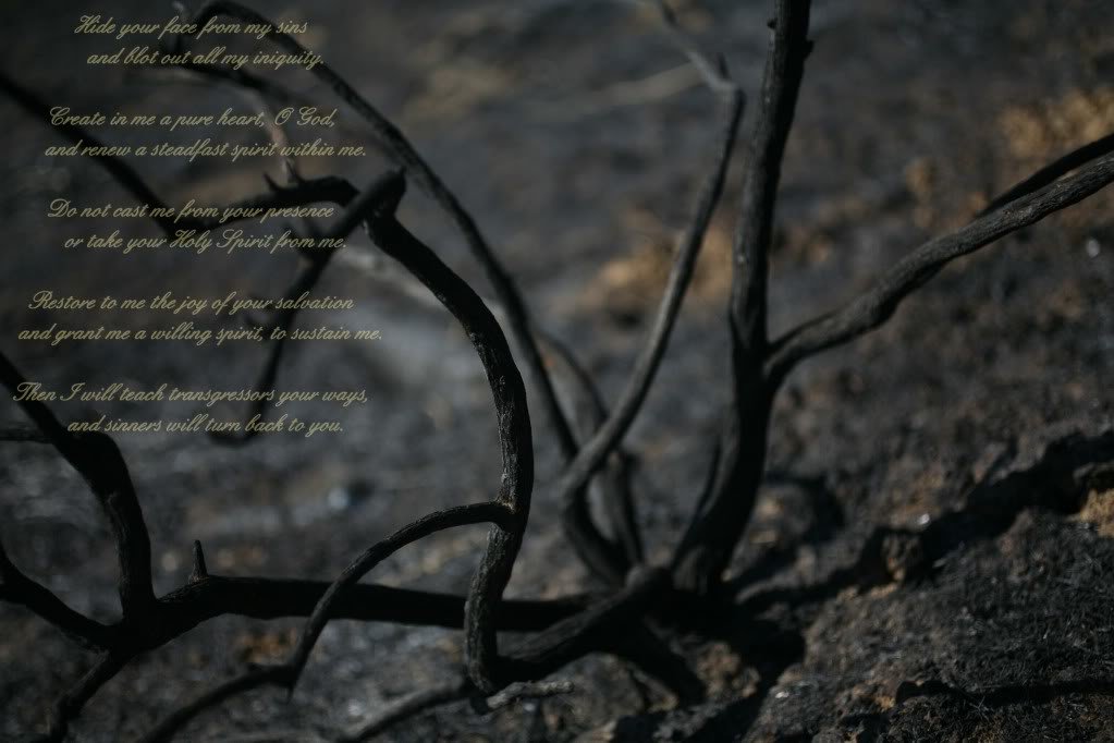 psalm51_b180d354a66dc6e8d8634b513a9db65012321794.jpg