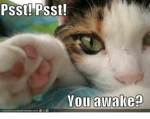 psst-psst-you-awake-canha-scheeze-urger-com-20801632.jpg
