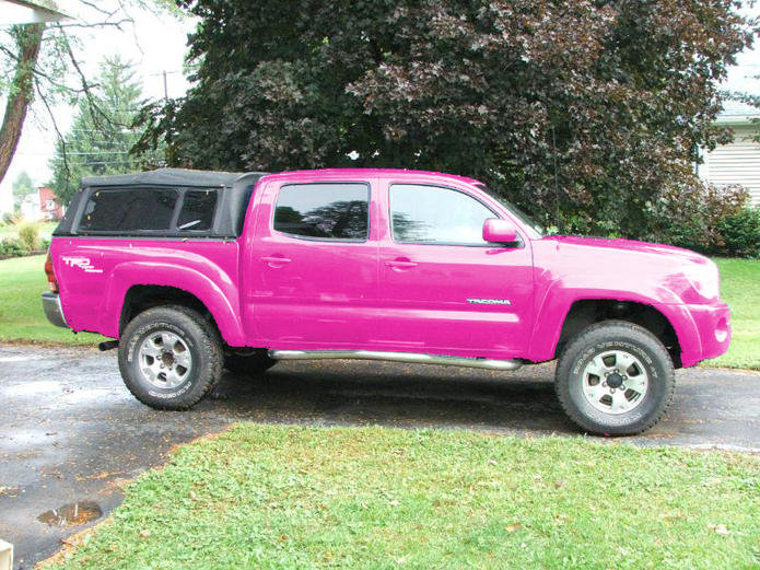 ptPINK copy.jpg