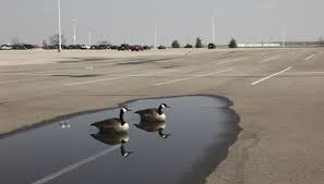 puddle.jpg