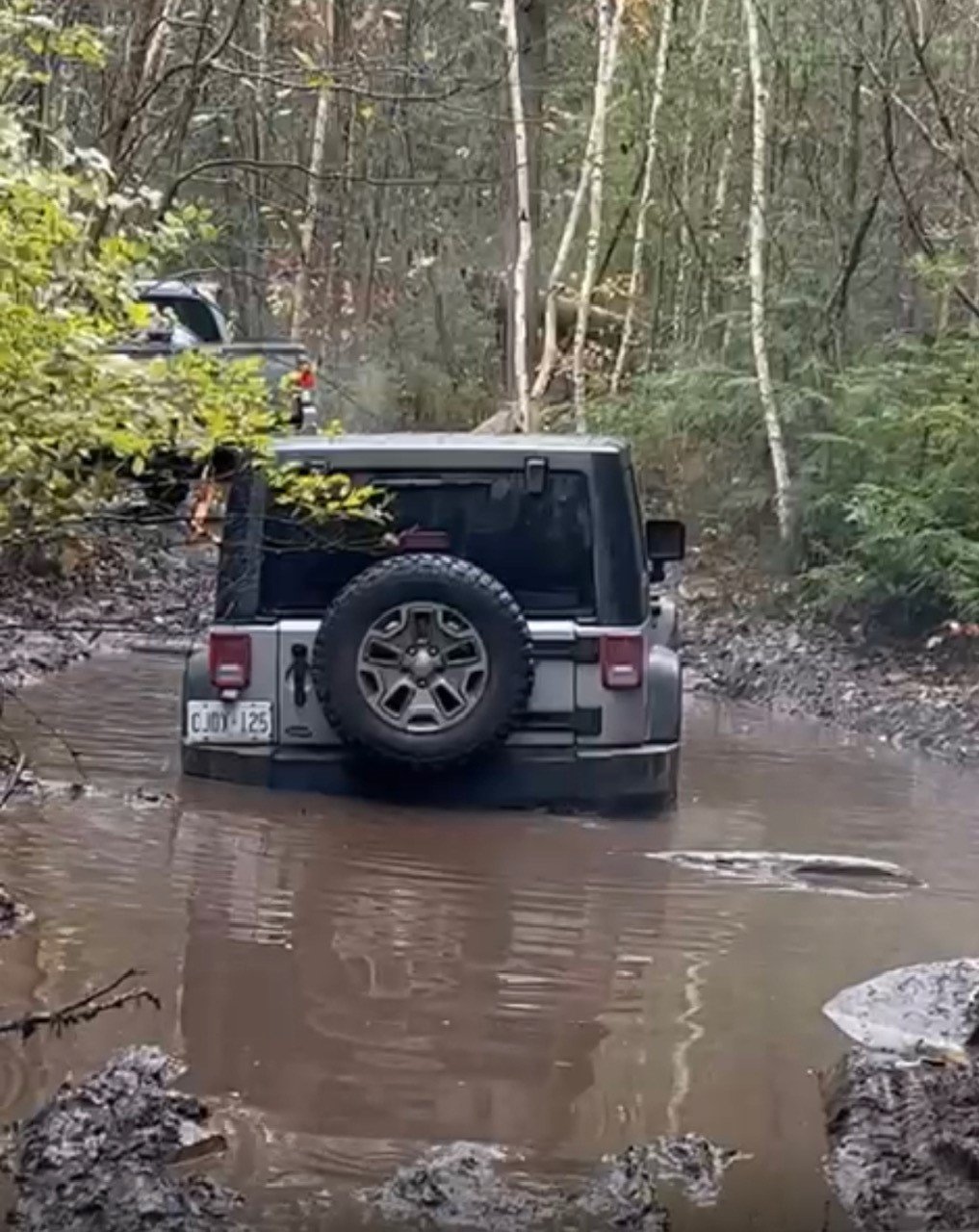 Puddle.jpg