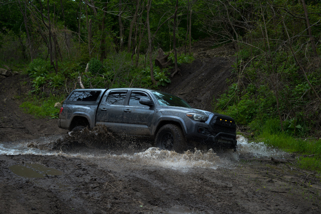 Puddle_Edit_MT.jpg