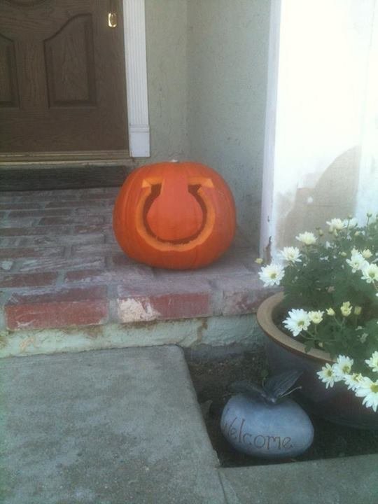 pumpkin_zps2d431b07_50108fbcd046c22421892eed75118db48999787d.jpg