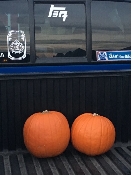 pumpkinrun.jpg