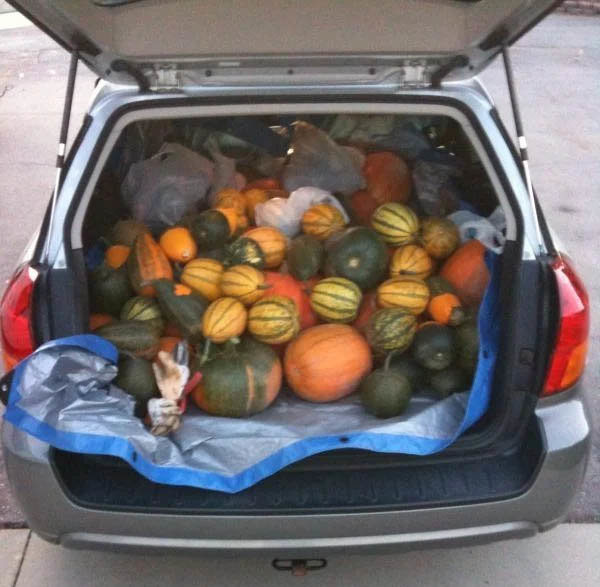 pumpkins.jpg