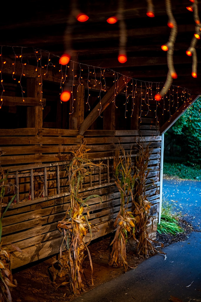 pumpkins_corncrib2.jpg