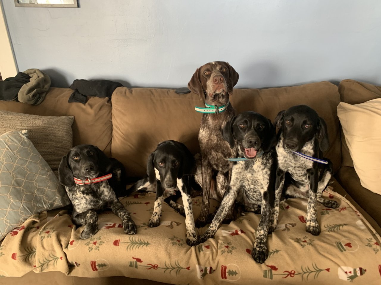 pupppppps.jpg