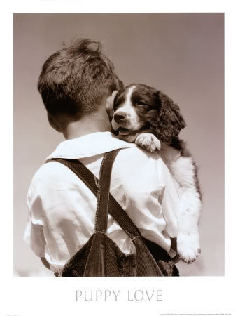 Puppy-Love-Print-C10093991_dbb30cd67c41b2c5069d5837de9c704fe036f8d5.jpg