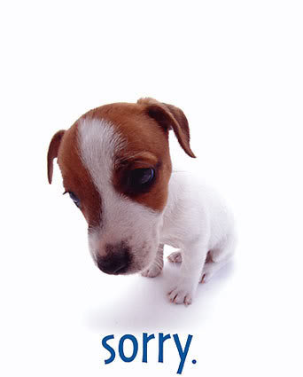 puppy_im_sorry_c1cb35ff26410d22d5ec4a9d5aa635b1a110adf8.jpg