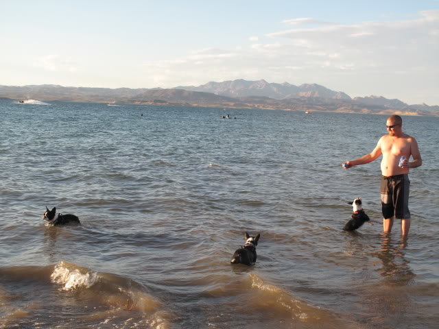 pups089_6db68cf074282fdd36e6808e4f8b725b7641128e.jpg