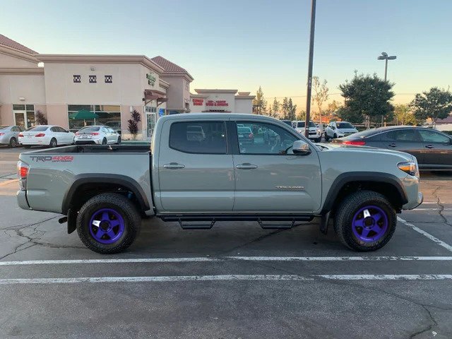 purp.jpg