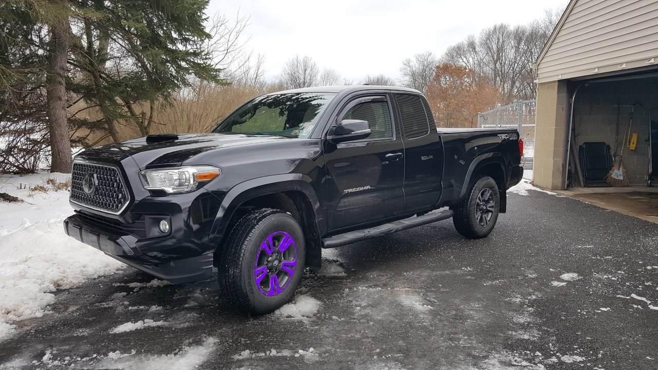 purple wheels.jpg