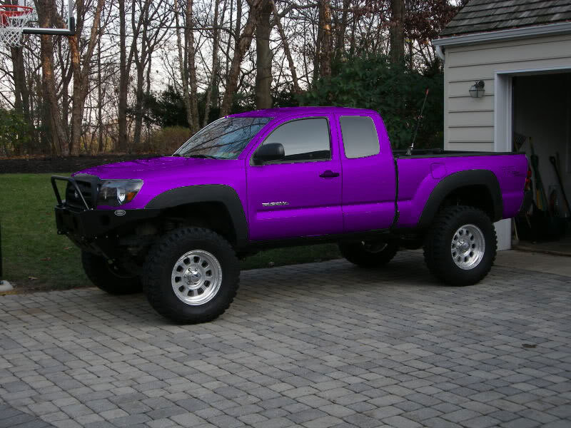 purple_b592ab59043169868360c316d513a0ed4b7b3278.jpg