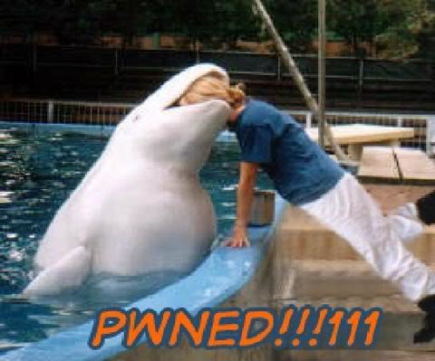 pwned-funny4_0c2c34fdd34ebcc75013ec462a08c3bfc2cf76f7.jpg