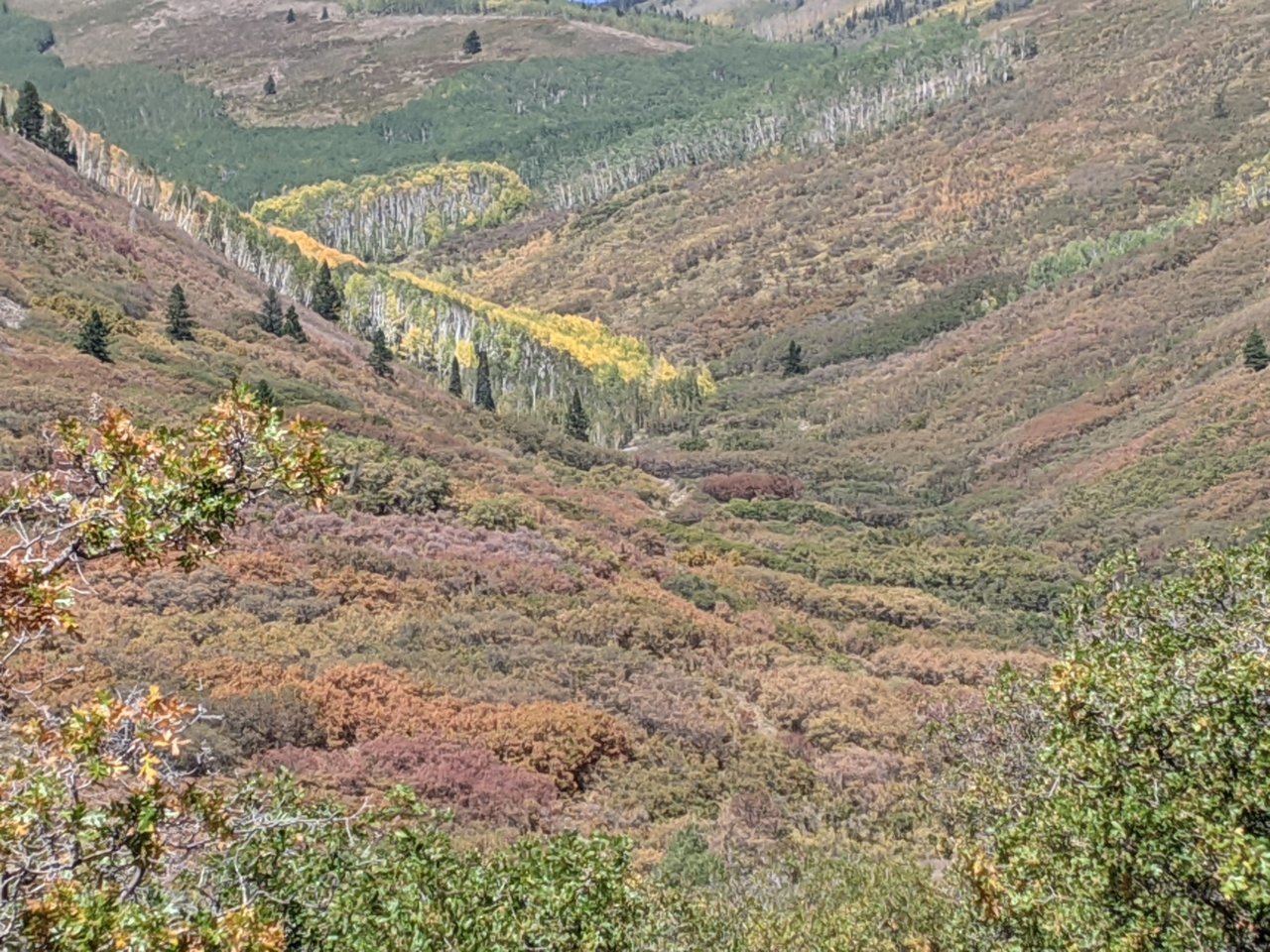 PXL_20200924_192146859.jpg