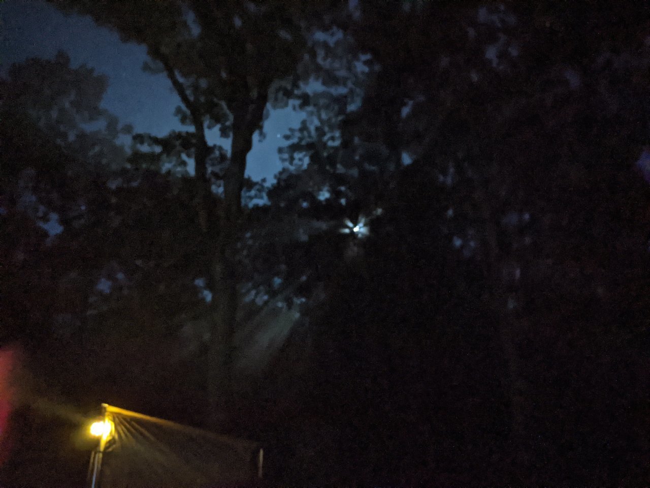PXL_20200927_040103409.NIGHT.jpg