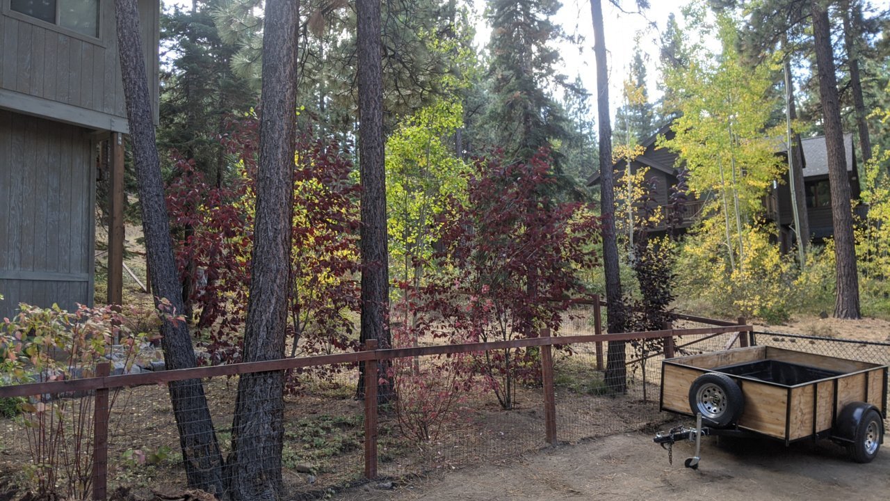 PXL_20201010_194228020.jpg