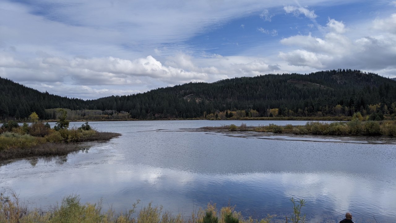 PXL_20201010_220642745.jpg