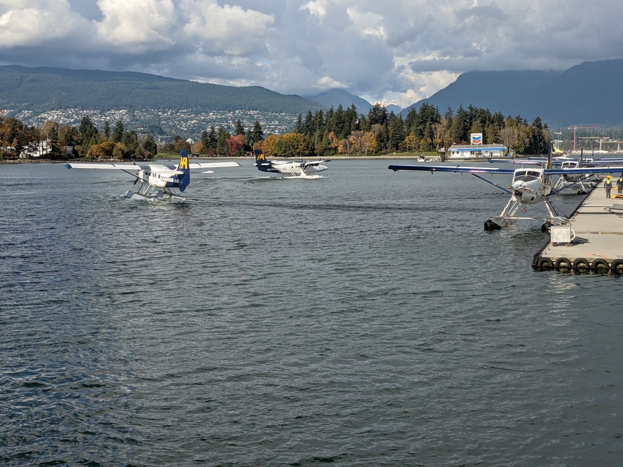 PXL_20201021_213449970.jpg