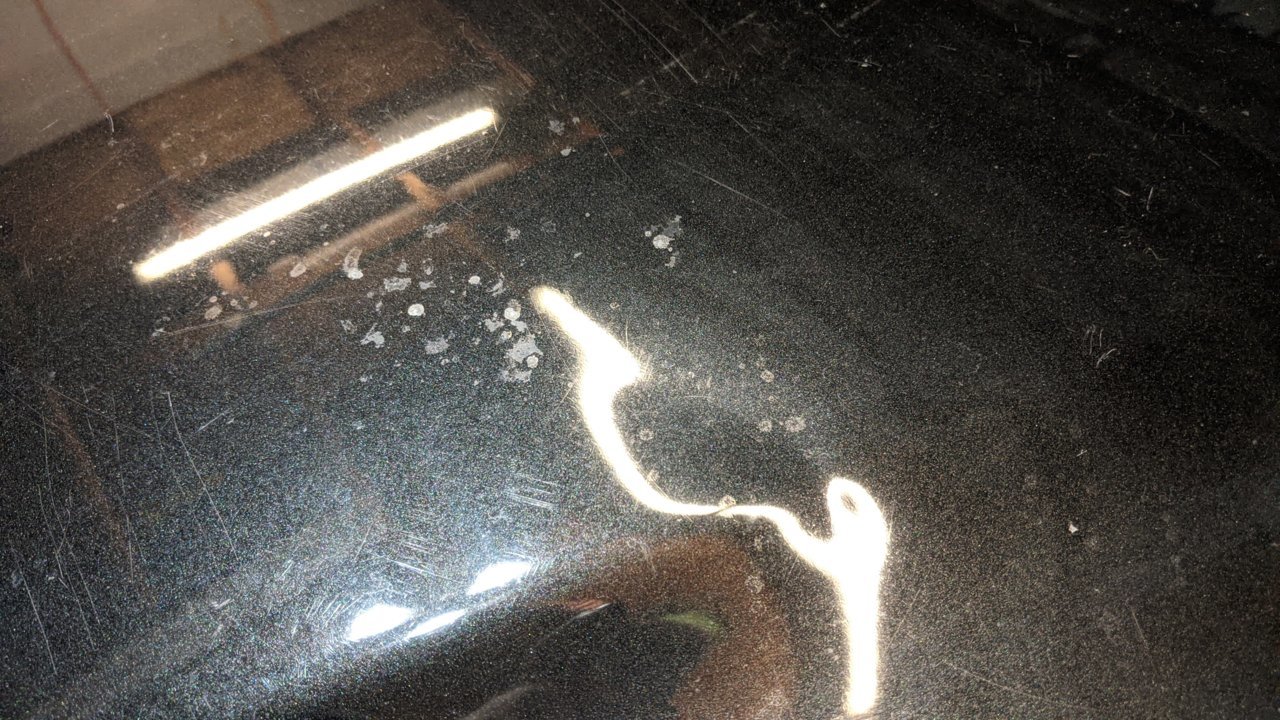 PXL_20201021_231624056.jpg