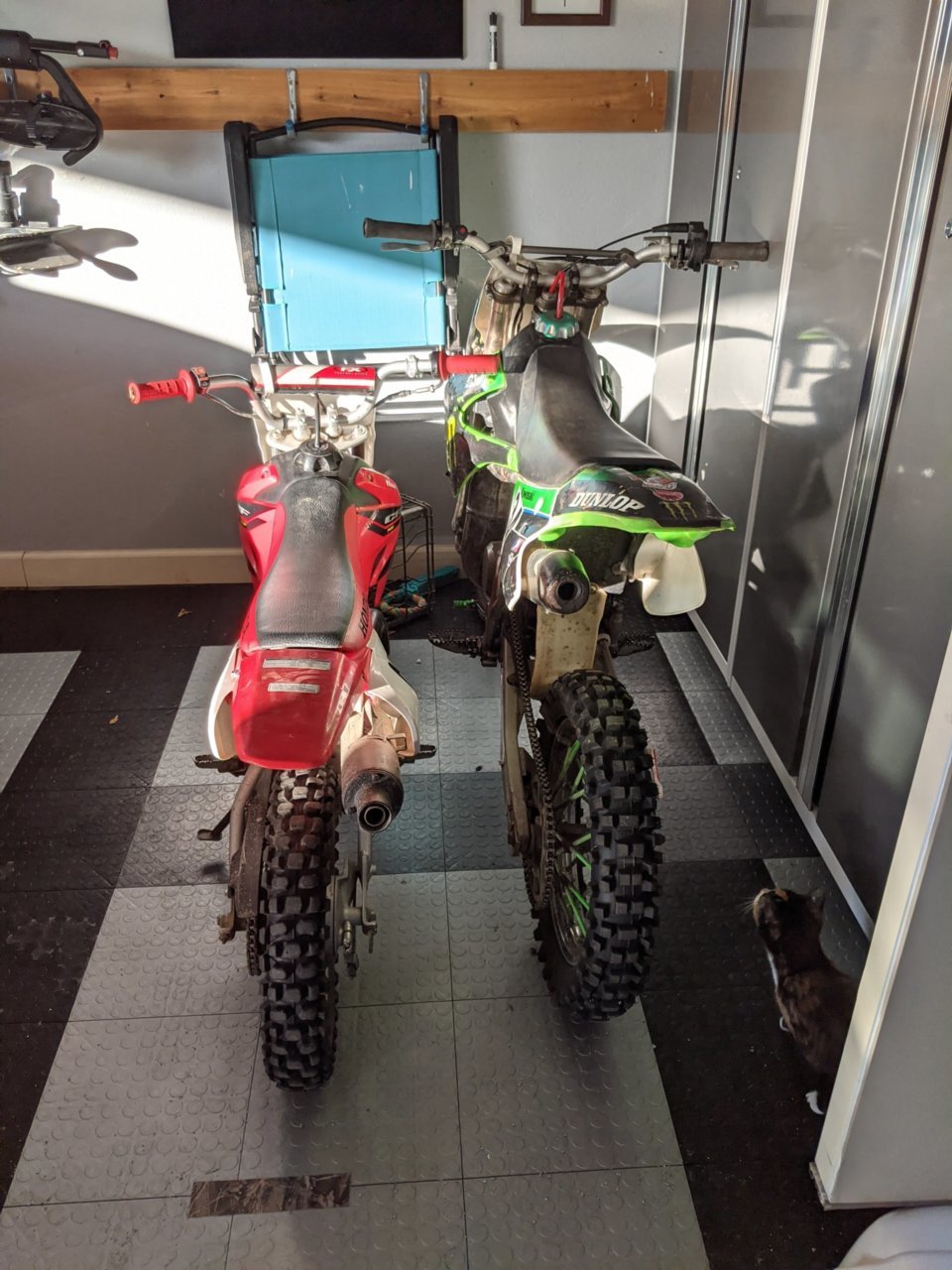 PXL_20201103_214744099.jpg