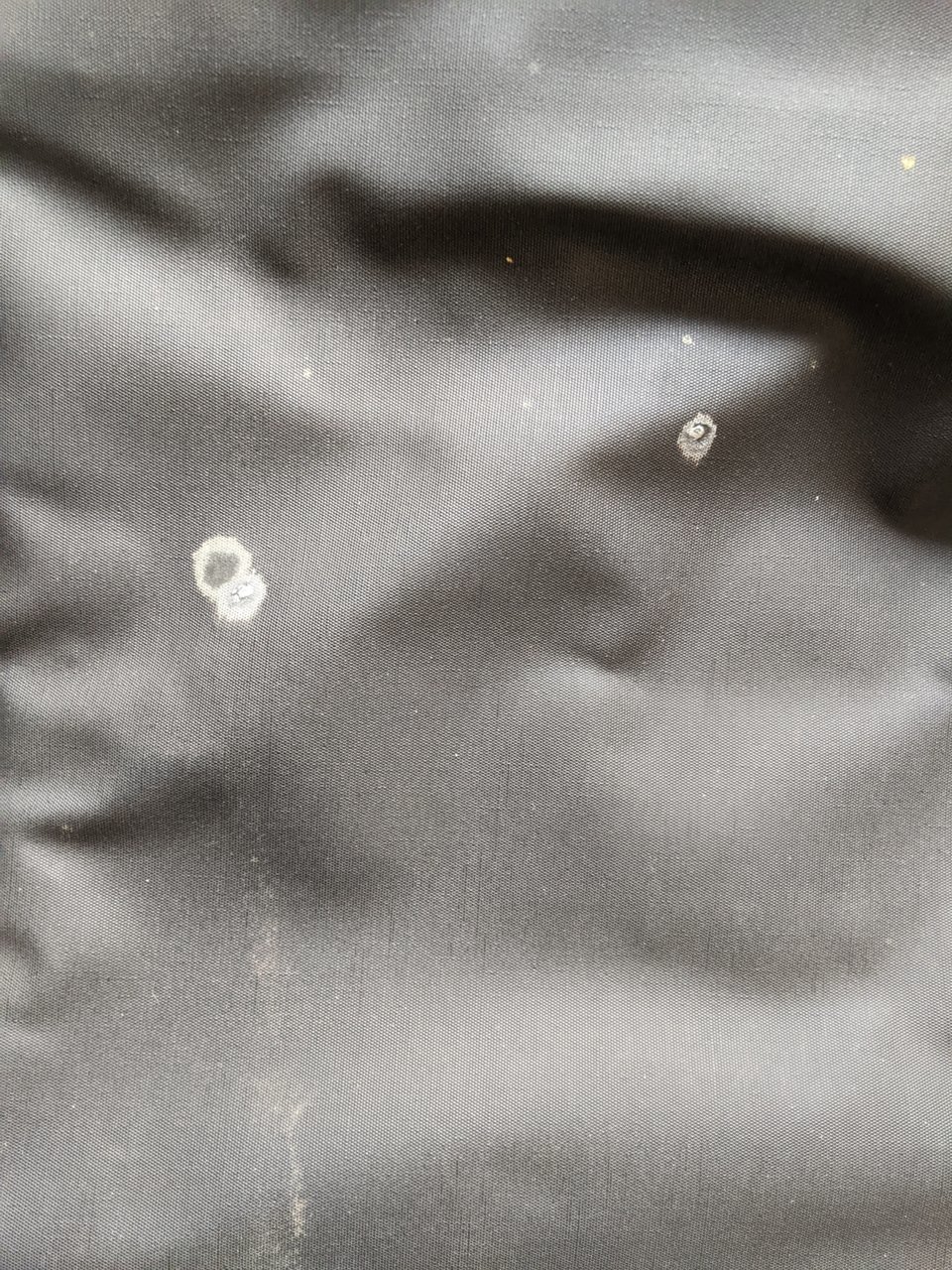 PXL_20201108_235559245.jpg
