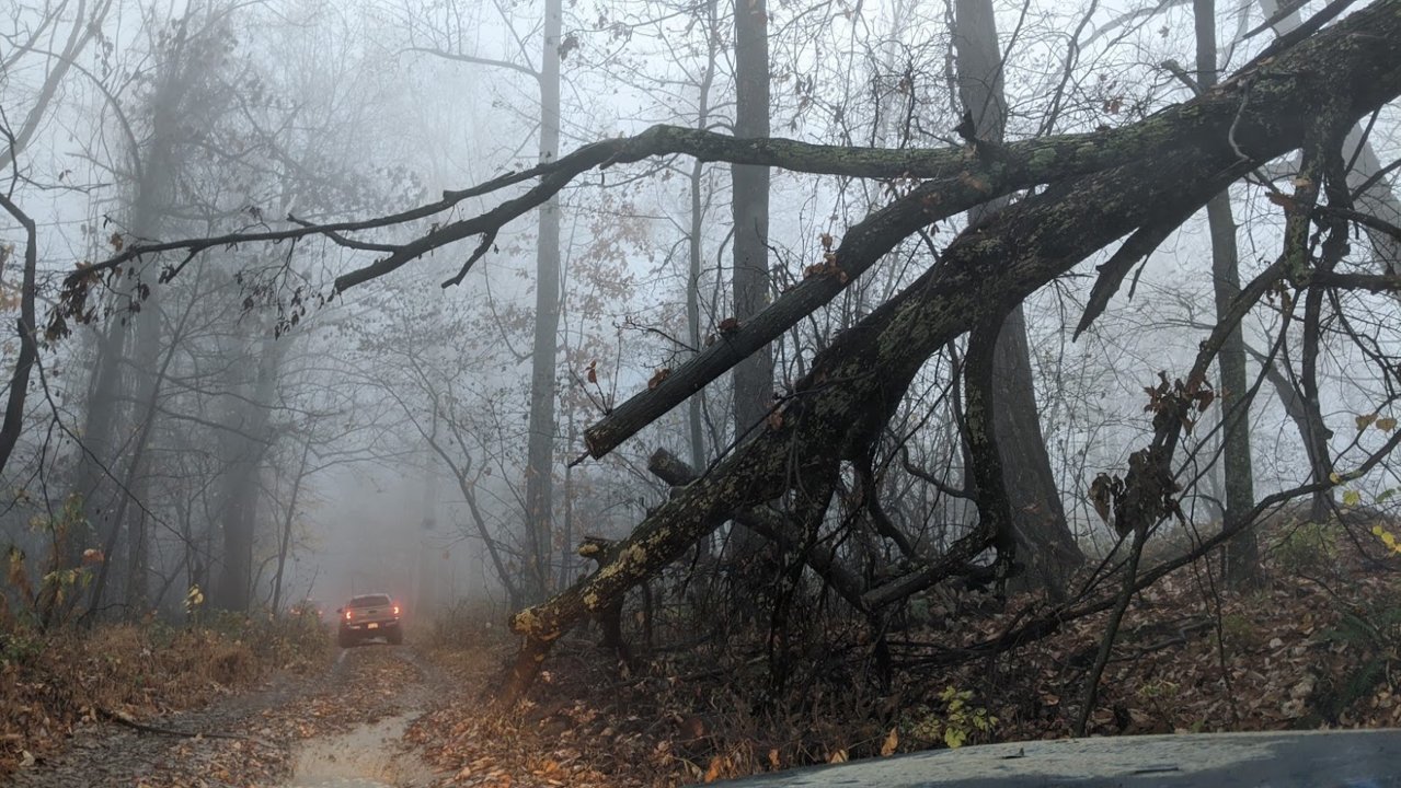 PXL_20201111_214053357.jpg