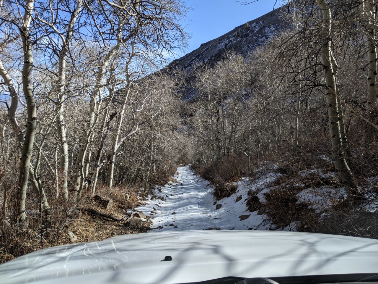 PXL_20201122_191251626.jpg