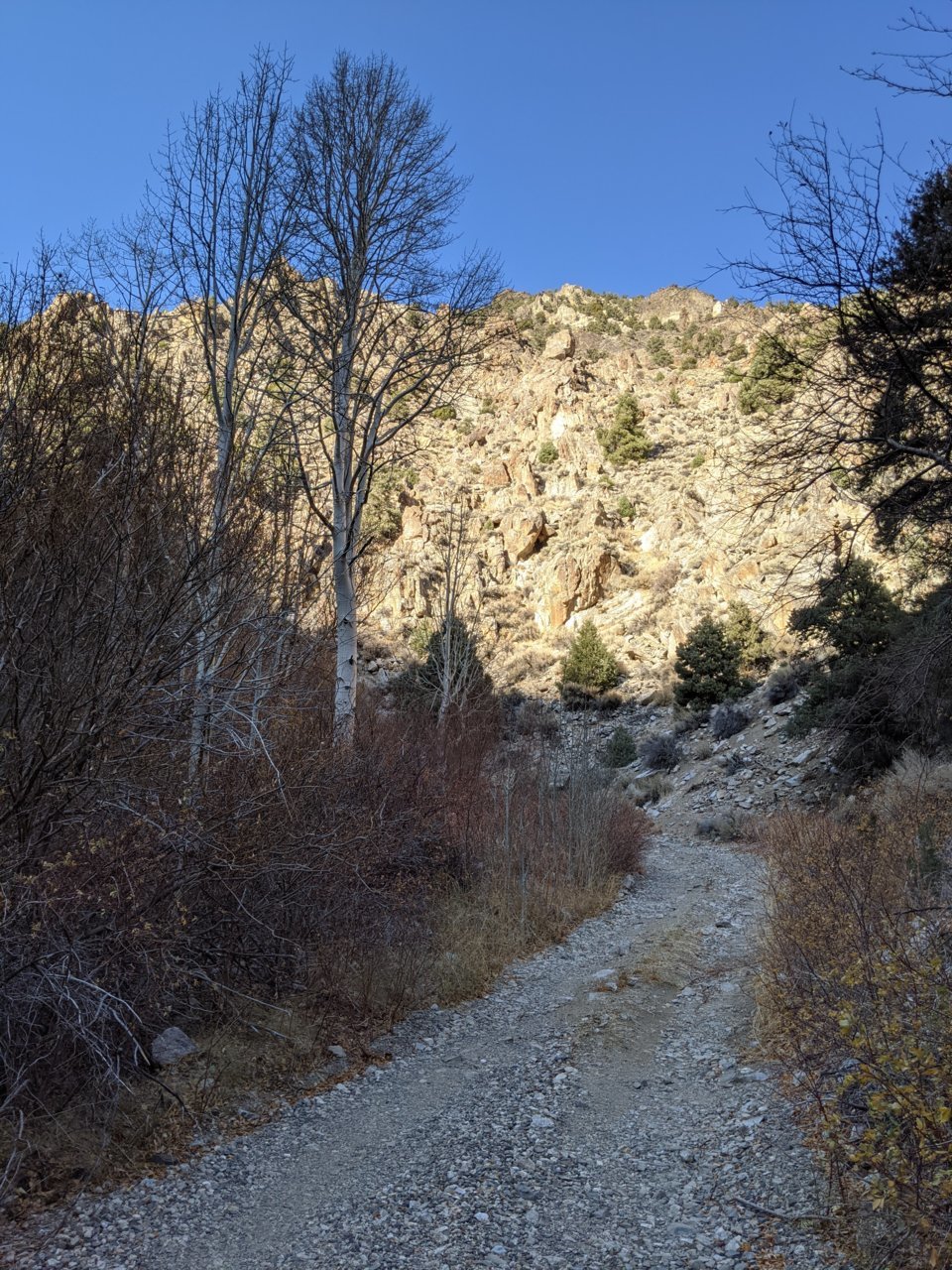 PXL_20201122_195557754.jpg