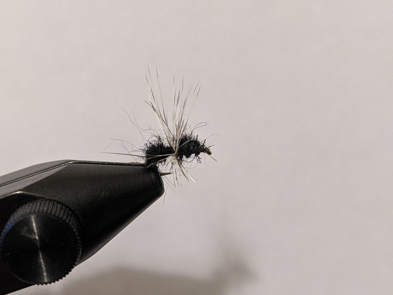 PXL_20201212_024443606.jpg