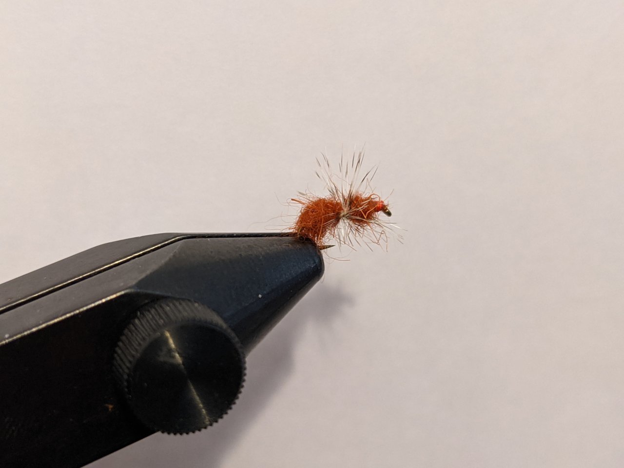 PXL_20201212_215623042.jpg
