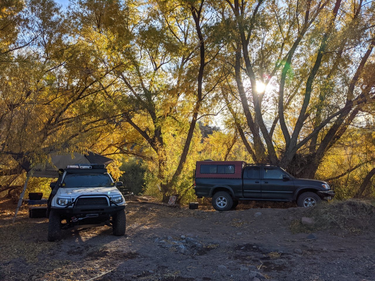 PXL_20210102_162215806.MP.jpg