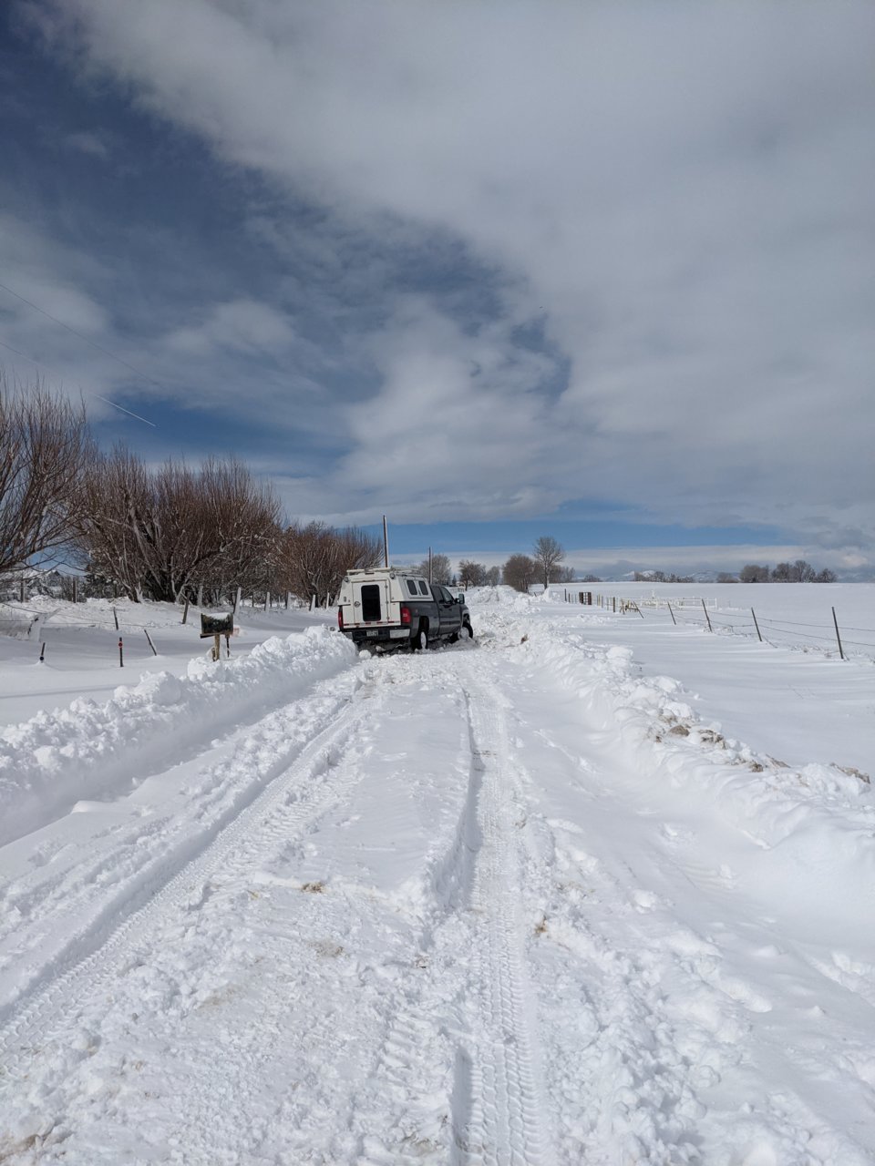 PXL_20210315_170608966.MP.jpg