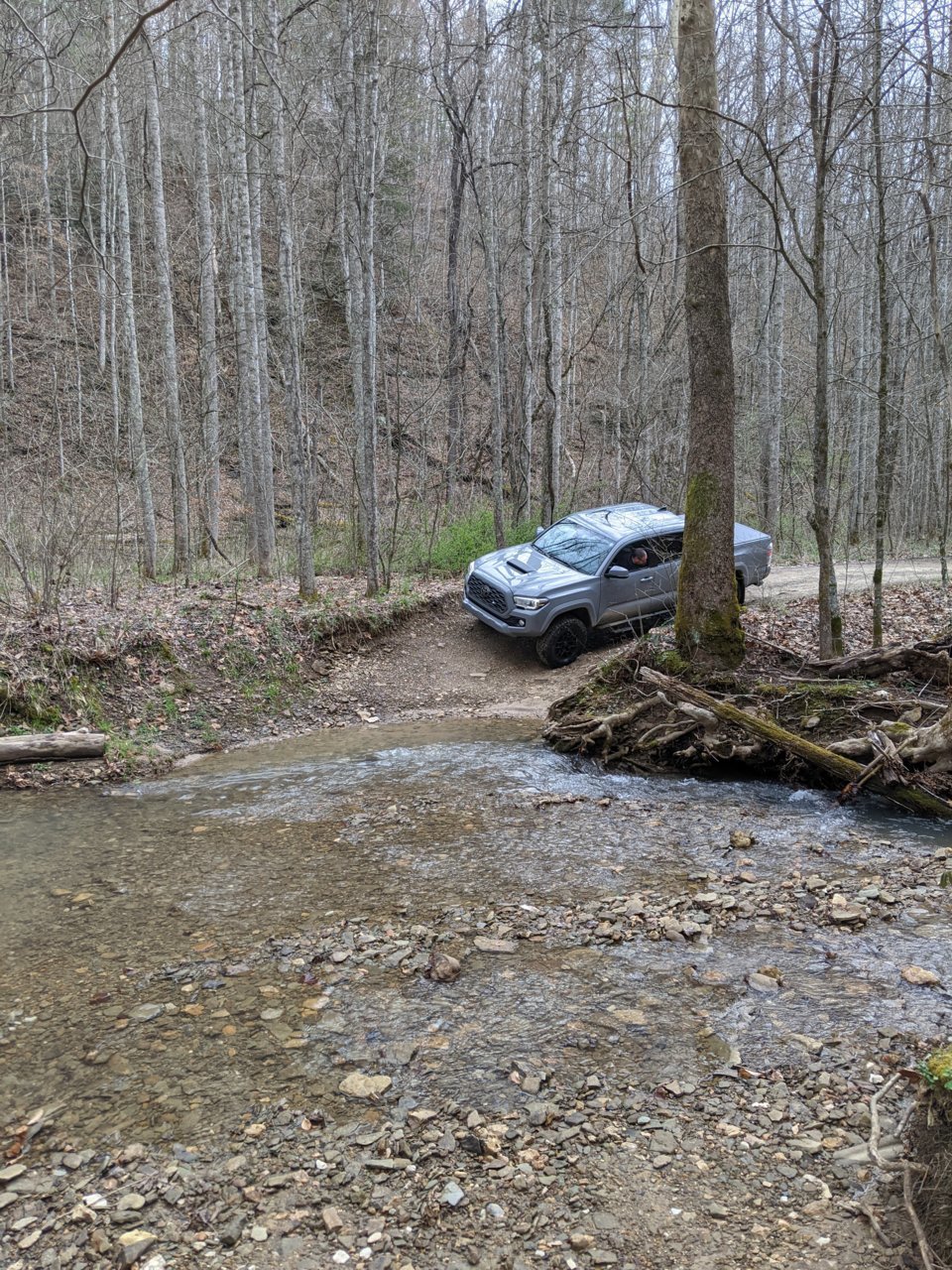 PXL_20210401_165446140.jpg