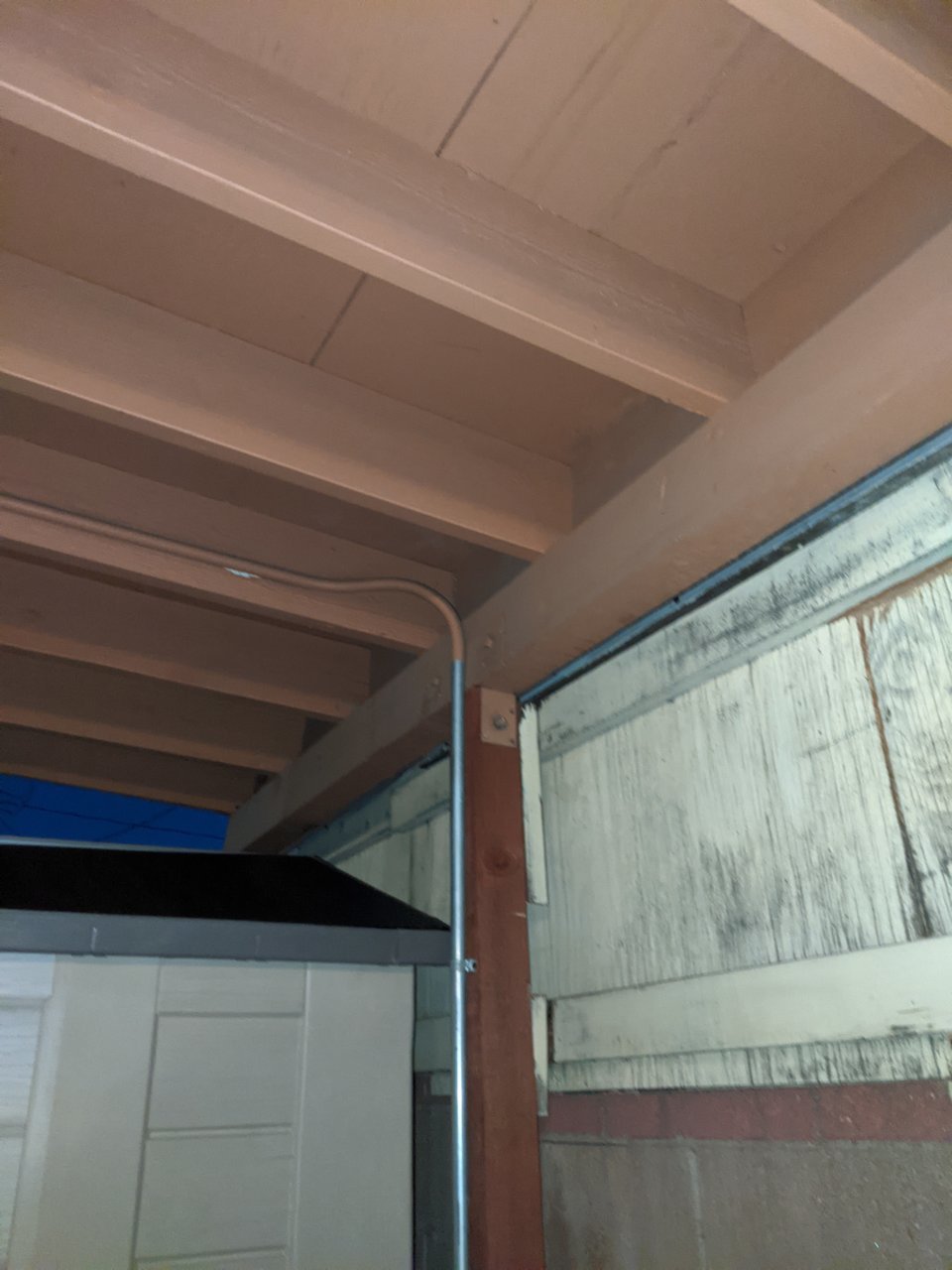 PXL_20210408_025710096.jpg